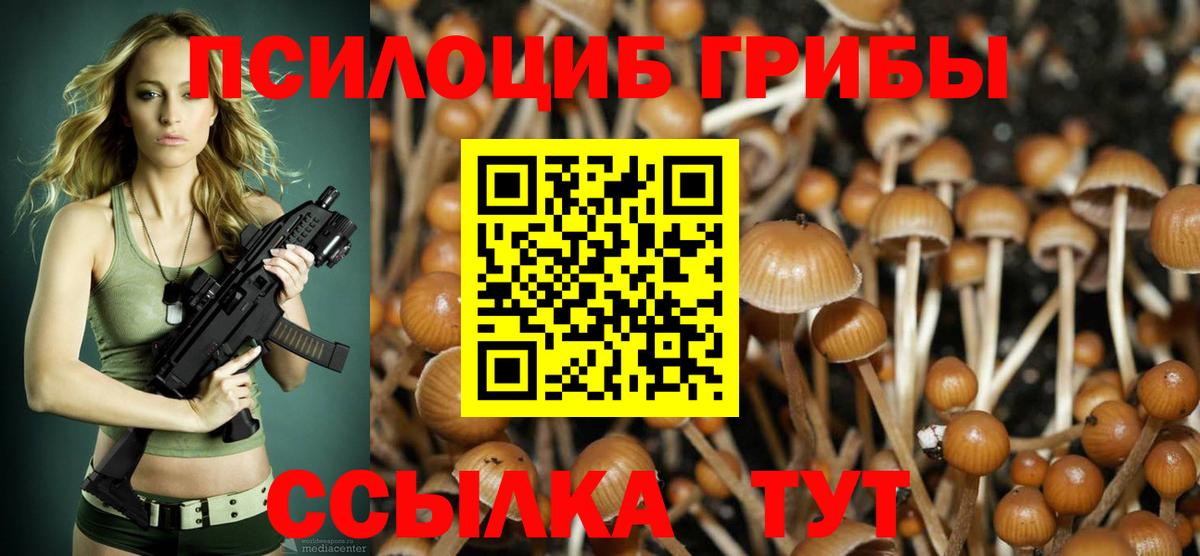 Псилоцибиновые грибы мицелий Анапа